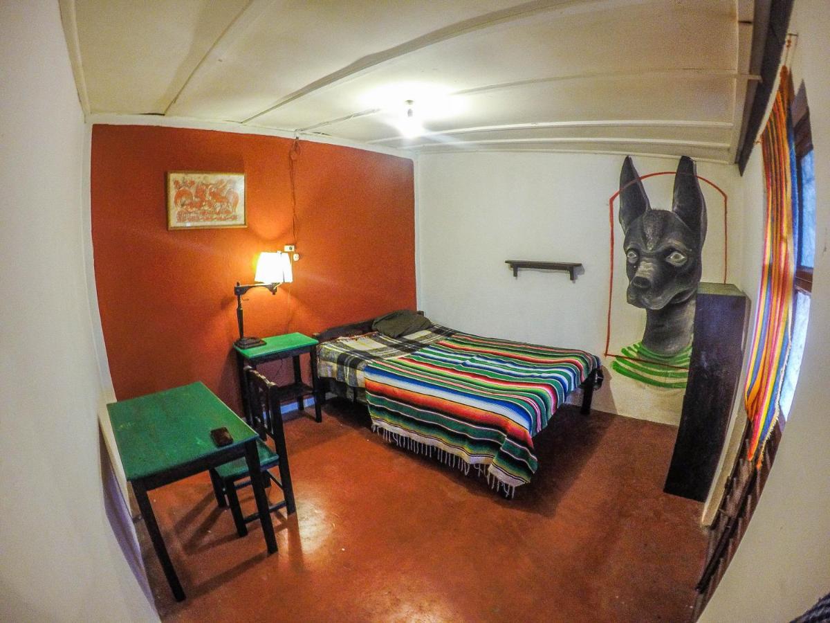 Hostel El Nagual San Cristóbal de Las Casas Exteriér fotografie