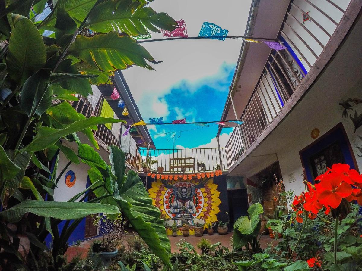 Hostel El Nagual San Cristóbal de Las Casas Exteriér fotografie